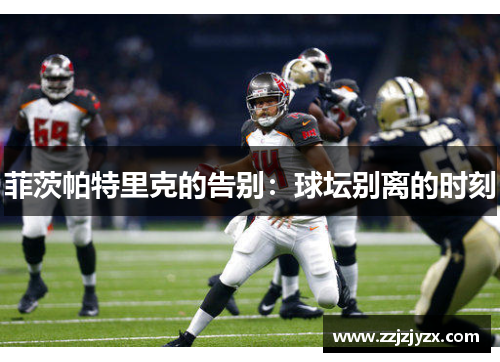 菲茨帕特里克的告别：球坛别离的时刻